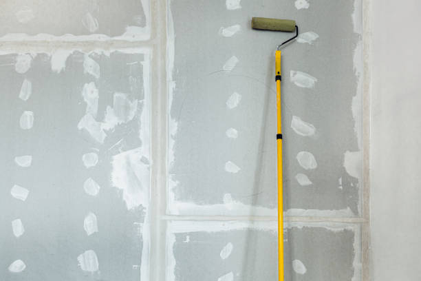 Mold Odor Removal Services in Windsor, CA