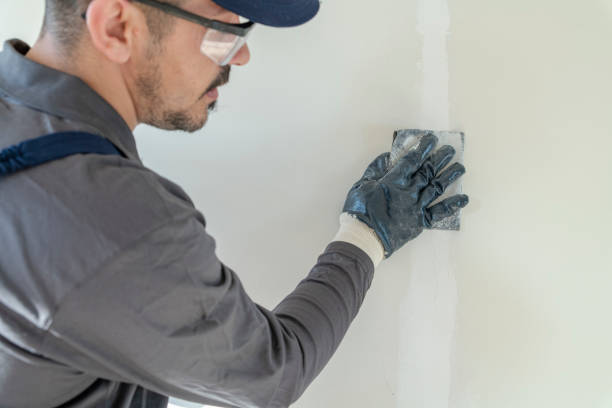 Best Mold Damage Restoration  in Windsor, CA