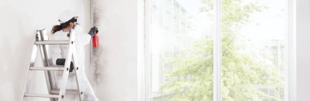 Best Mold-Related Health Consultation  in Windsor, CA