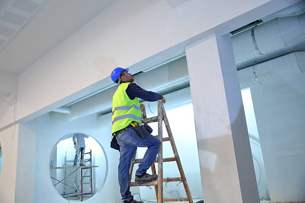 Best Biohazard Mold Removal  in Windsor, CA